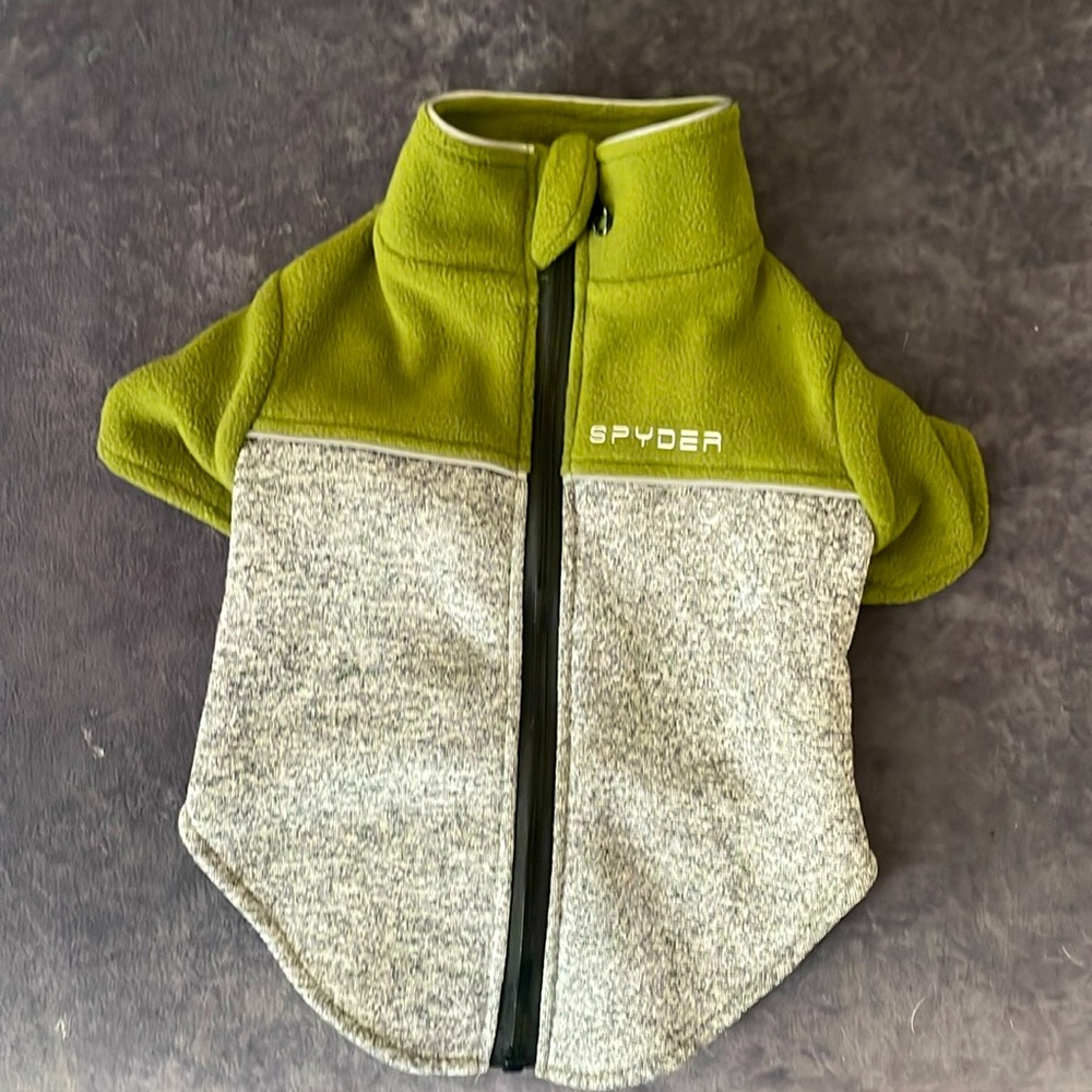 Dog sweatshirt.